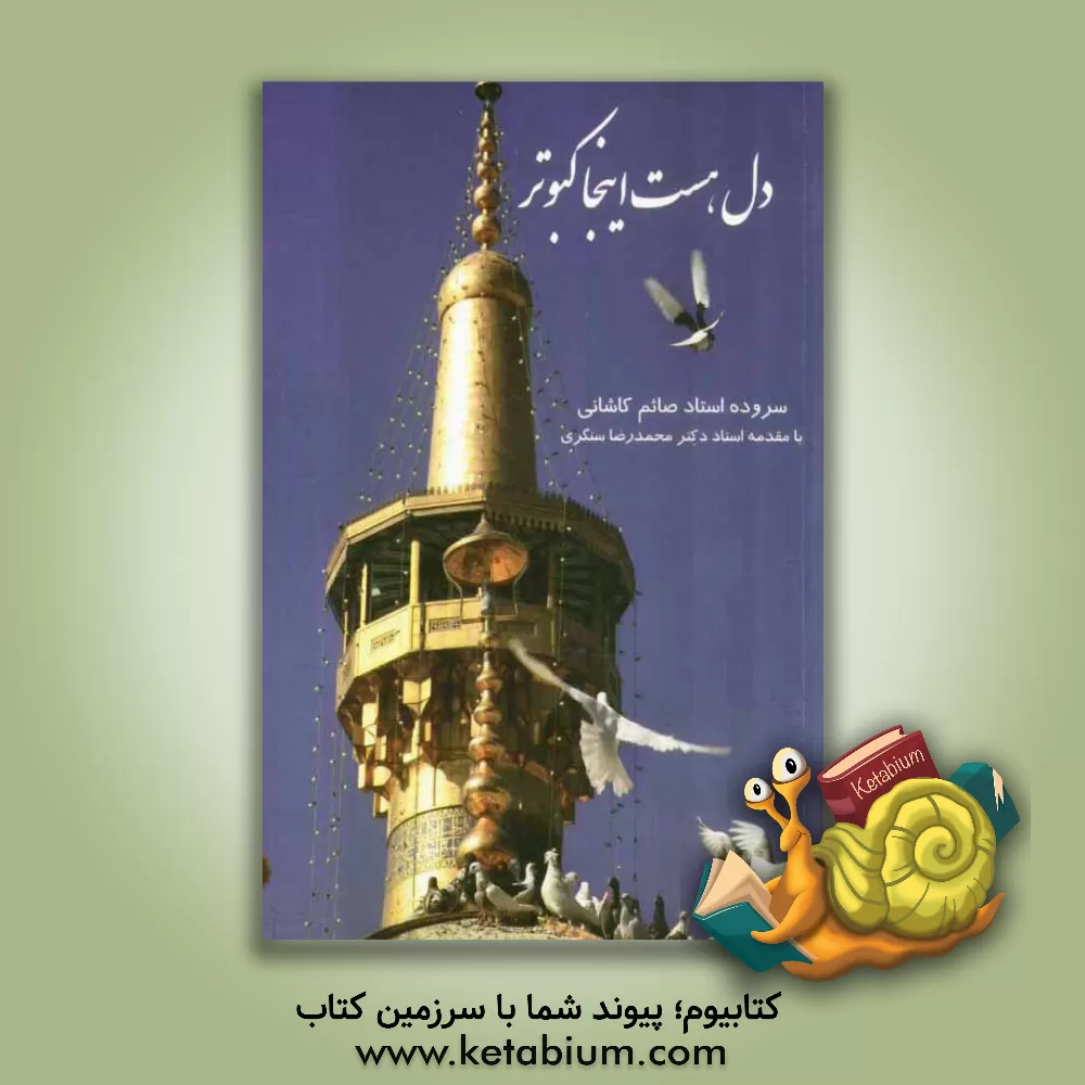 کتاب دل هست اینجا کبوتر اثر علی‌اصغر صائم