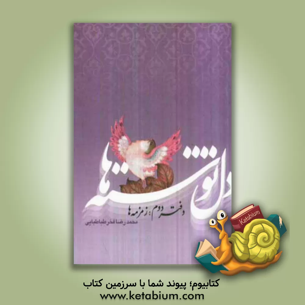 کتاب دل نوشته ها: دفتر دوم (زمزمه ها) اثر محمدرضا فخرطباطبایی
