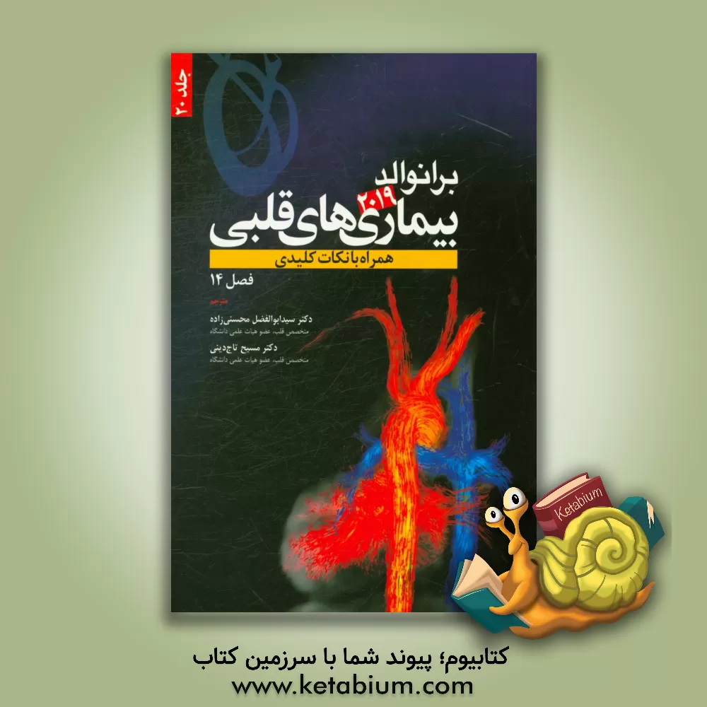 کتاب برانوالد 2019: "فصل 14" همراه با نکات کلیدی اثر داگلاس‌پی. زیپس