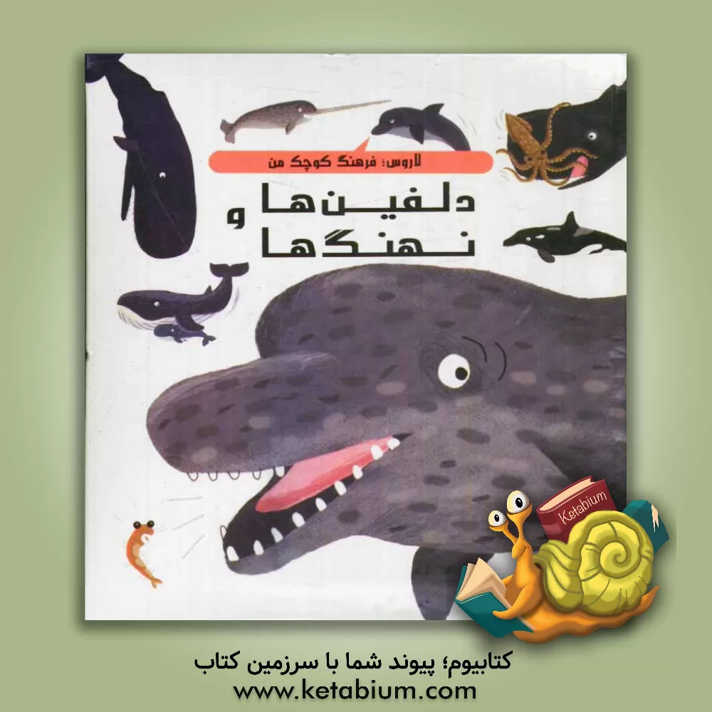 کتاب دلفین ها و نهنگ ها اثر آنیس واندویل