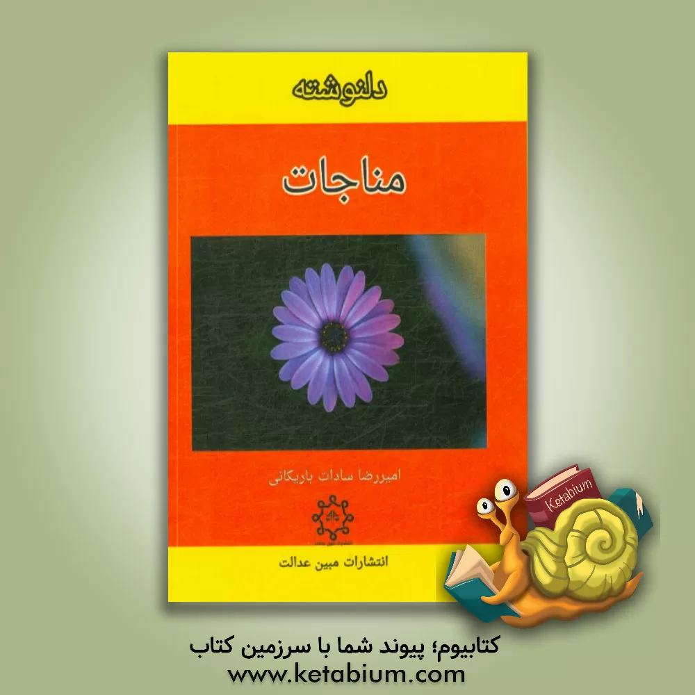 کتاب دلنوشته مناجات اثر امیررضا سادات‌باریکانی