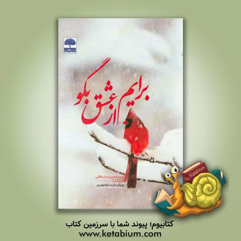 کتاب برایم از عشق بگو اثر پریسا سلطانی‌خمسه