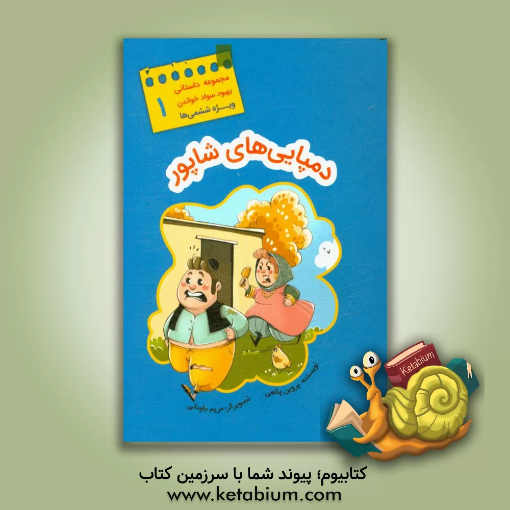 کتاب دمپایی های شاپور اثر پروین پناهی