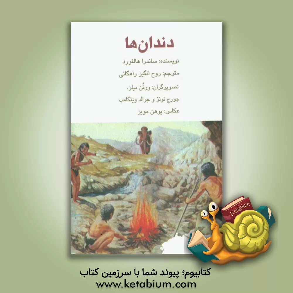 کتاب دندان ها اثر ساندرا هالفورد