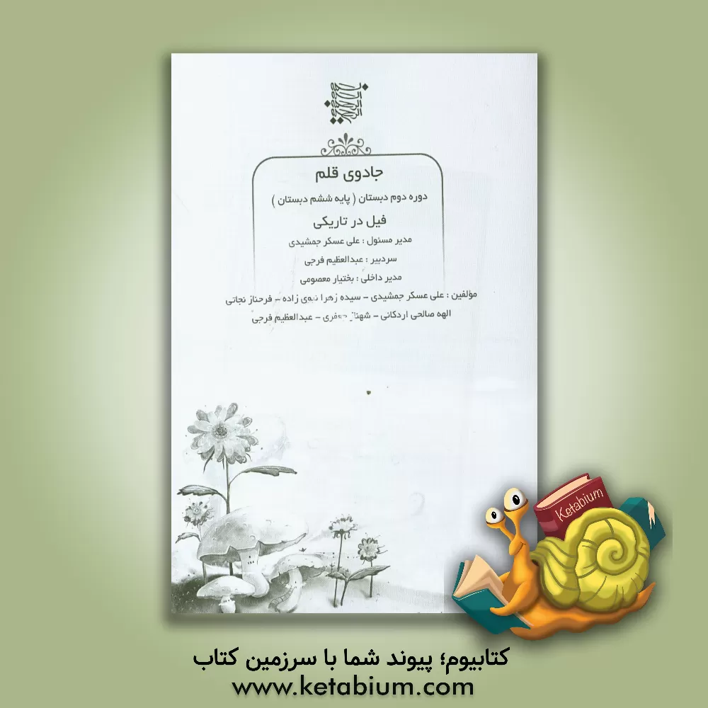 کتاب فیل در تاریکی اثر سیده‌زهرا نبوی‌زاده