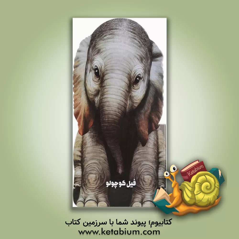 کتاب فیل کوچولو اثر جووانی کاویتسل