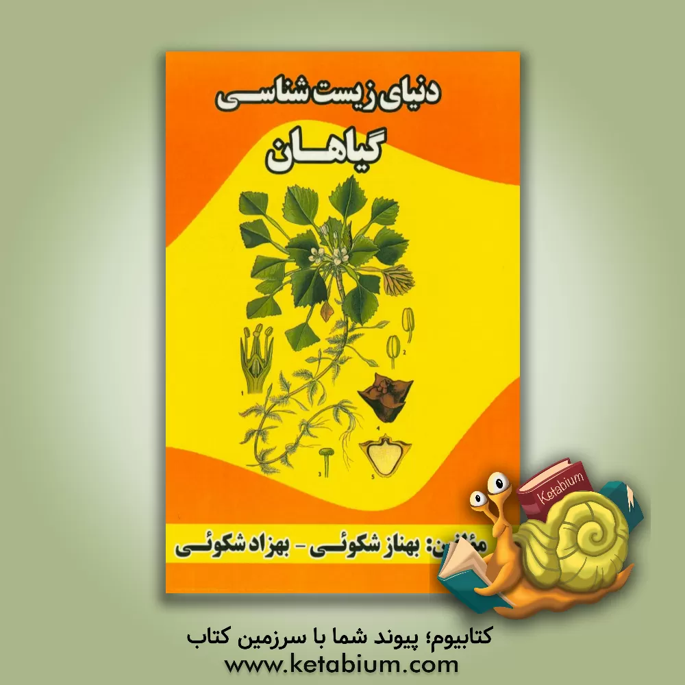 کتاب دنیای زیست شناسی گیاهان اثر بهناز شکوئی