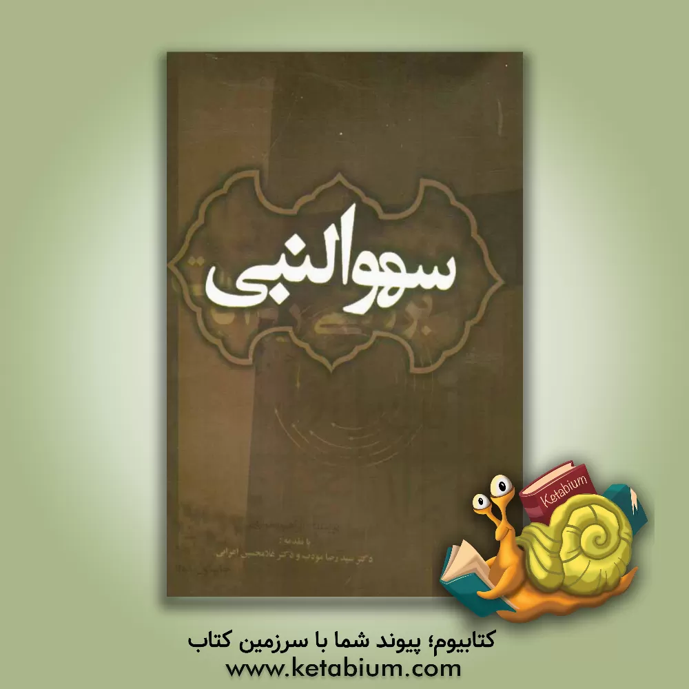 کتاب بررسی روایات سهو النبی (ص) اثر ابراهیم یعقوبیان