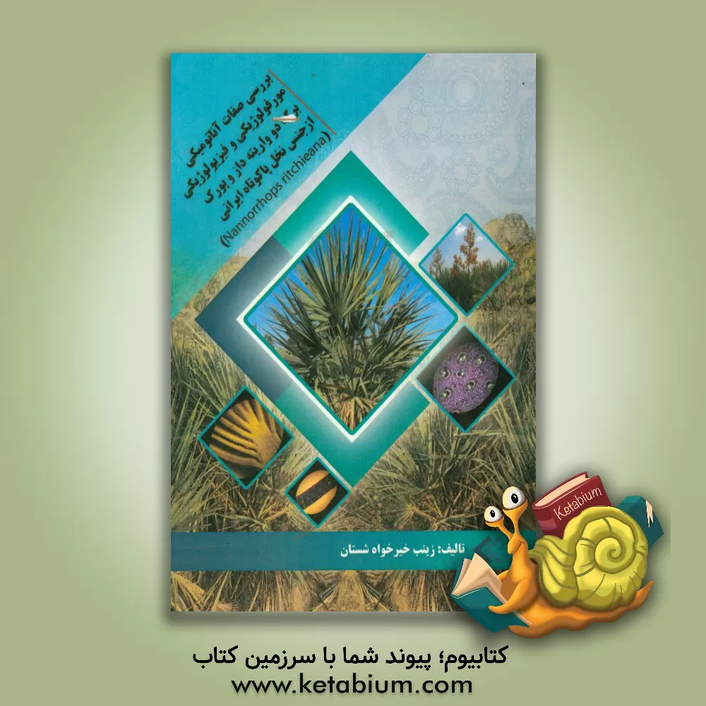 کتاب بررسی صفات آناتومیکی، مورفولوژیکی و فیزیولوژیکی برگ دو واریته داز و پورک از جنس نخل پاکوتاه ایرانی اثر زینب خیرخواه‌شستان