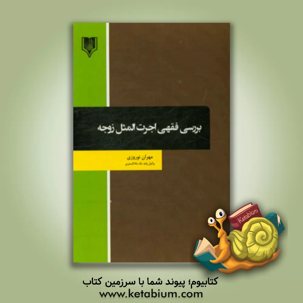 کتاب بررسی فقهی اجرت المثل زوجه اثر مهران نوروزی