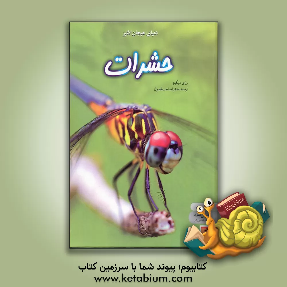 کتاب دنیای هیجان انگیز حشرات اثر رزی دیکینز