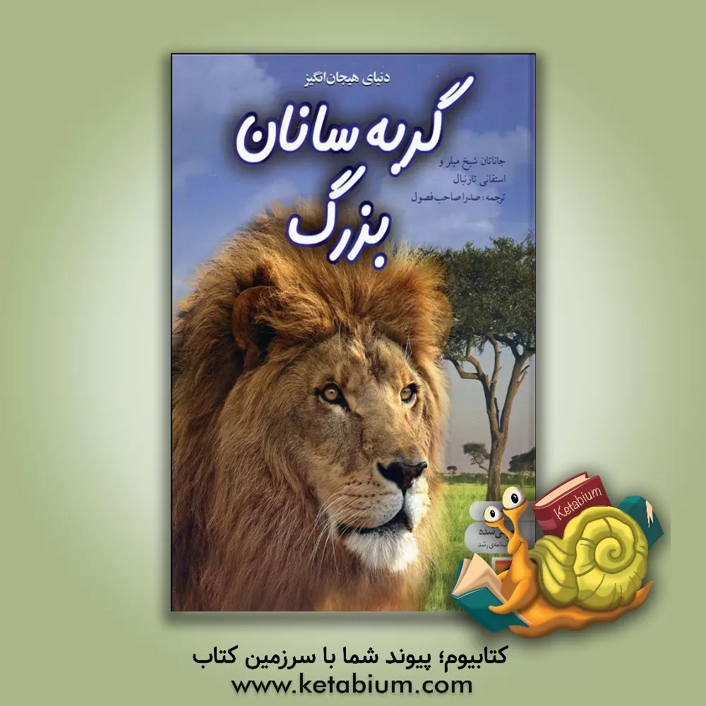 کتاب دنیای هیجان انگیز گربه سانان بزرگ اثر جاناتان شیخ‌میلر