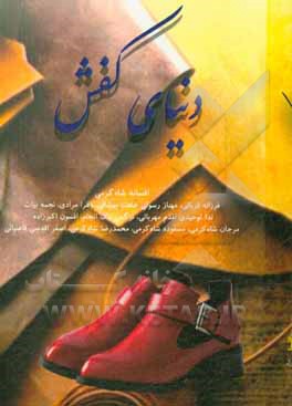 کتاب دنیای کفش |اثر افسانه شاه کرمی