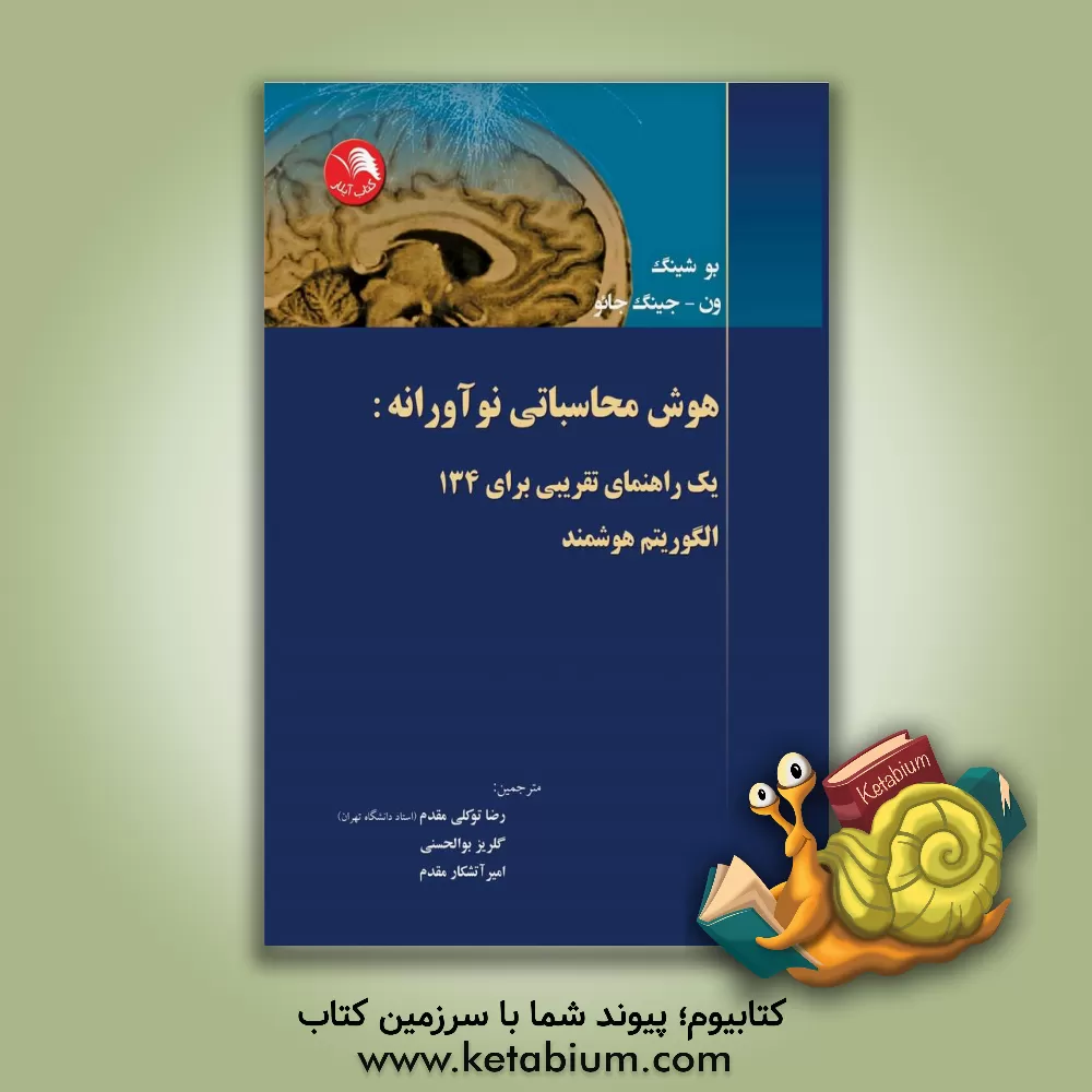 کتاب هوش محاسباتی نوآورانه: یک راهنمای تقریبی برای 134 الگوریتم هوشمند اثر بو شینگ