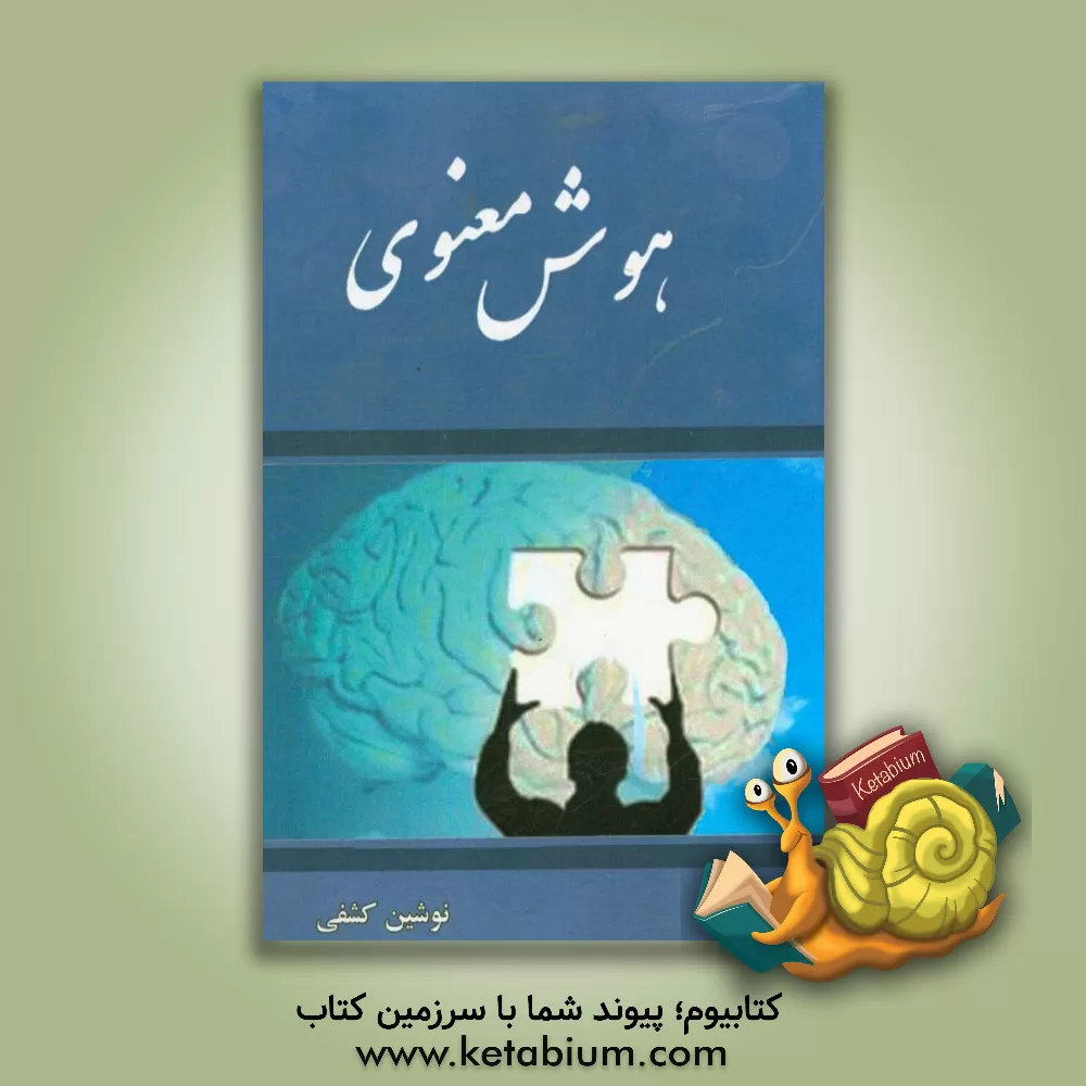 کتاب هوش معنوی |اثر نوشین کشفی