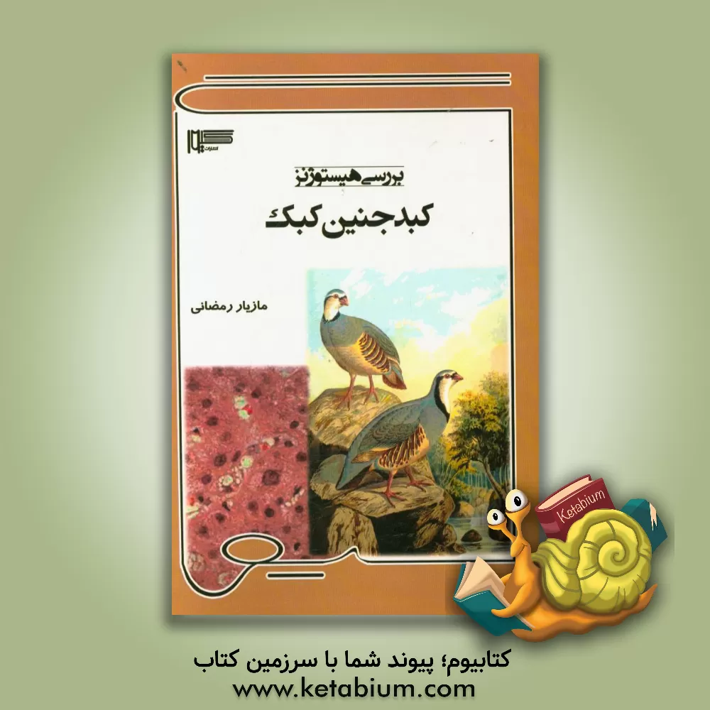 کتاب بررسی هیستوژنز کبد جنین کبک |اثر مازیار رمضانی