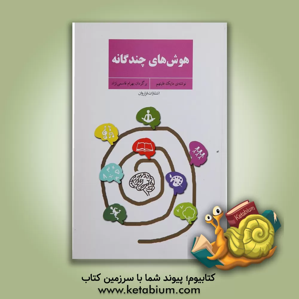 کتاب هوش های چندگانه اثر مایک فلیتهام