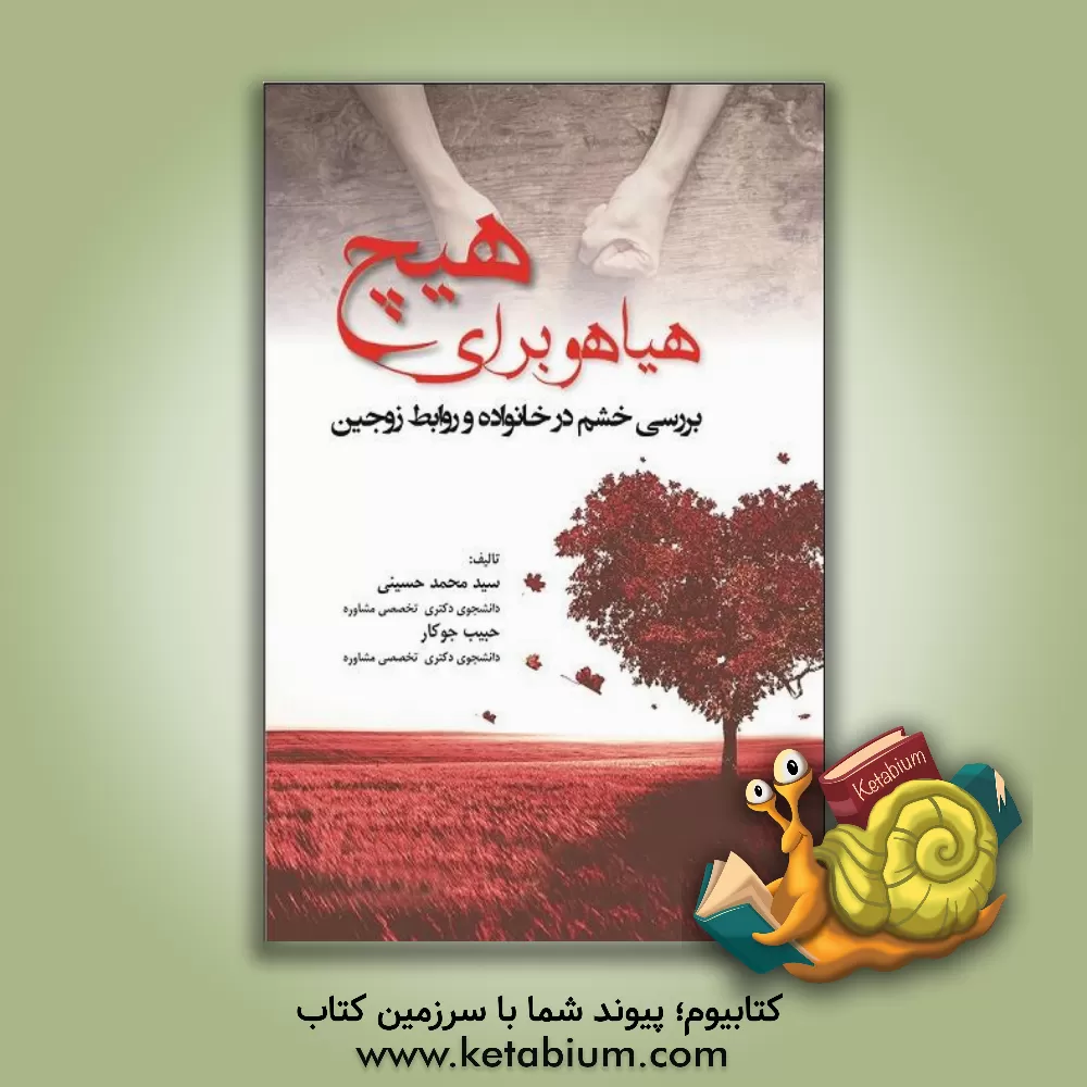 کتاب هیاهو برای هیچ! (بررسی خشم در خانواده و روابط زوجین) اثر سیدمحمد حسینی