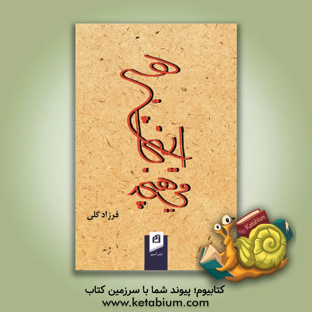 کتاب هیچ اینجا می هیچد: جستارهایی در نشانه شناسی تجربه ی فرافردی اثر فرزاد گلی