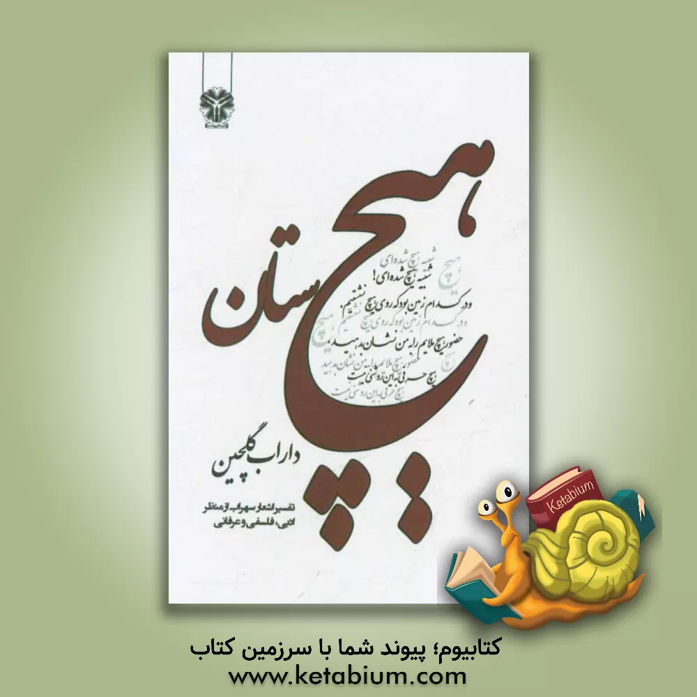 کتاب هیچستان: تفسیر اشعار سهراب از منظر عرفانی، فلسفی و ادبی اثر داراب گلچین