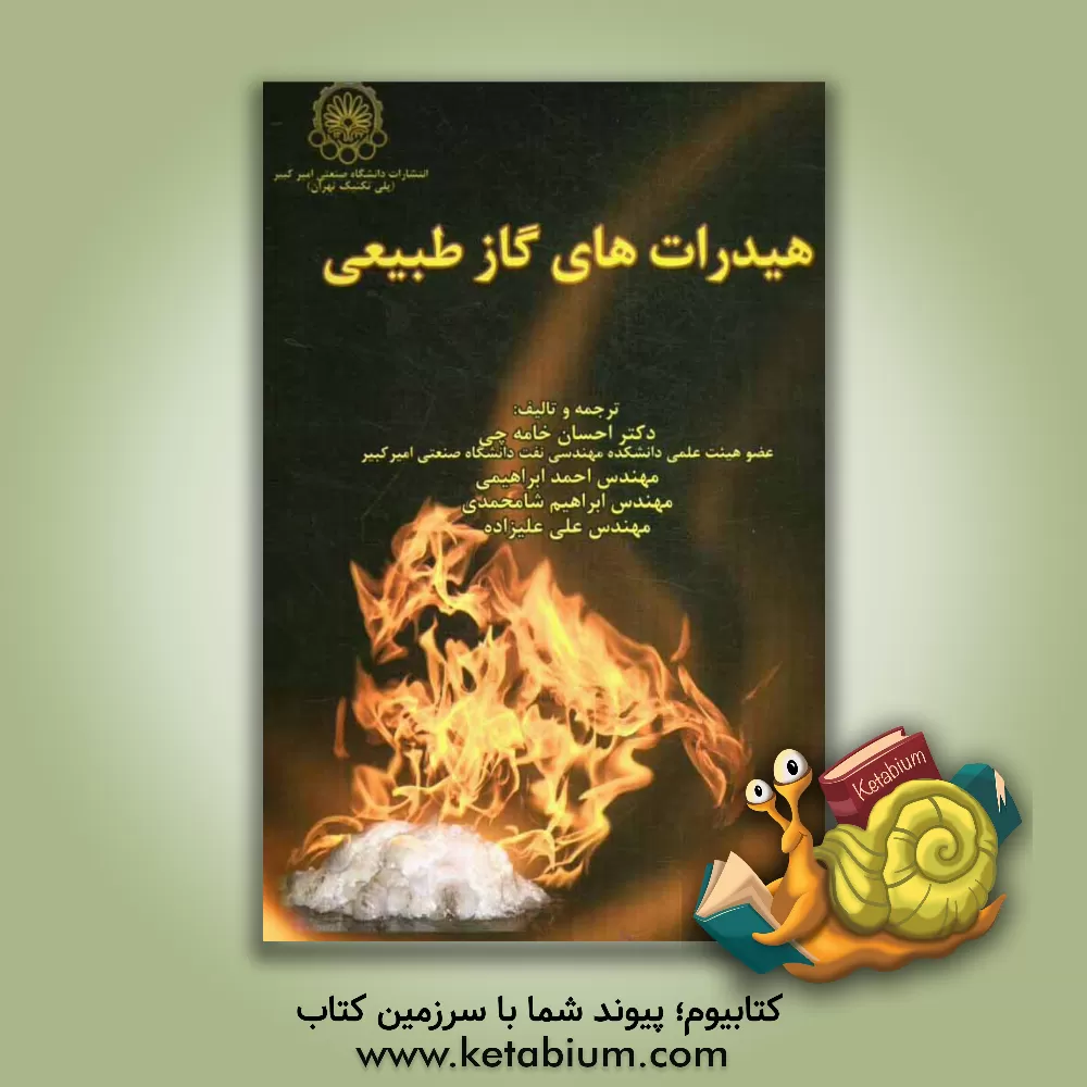 کتاب هیدارت های گاز طبیعی اثر ای.دندی اسلون