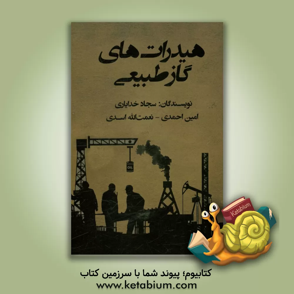 کتاب هیدرات های گاز طبیعی اثر امین احمدی