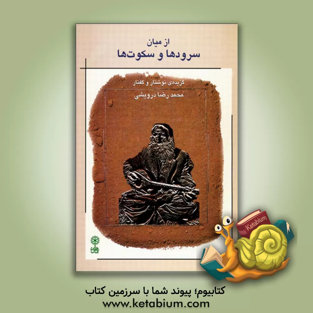 کتاب از میان سروده ها و سکوت ها اثر محمدرضا درویشی