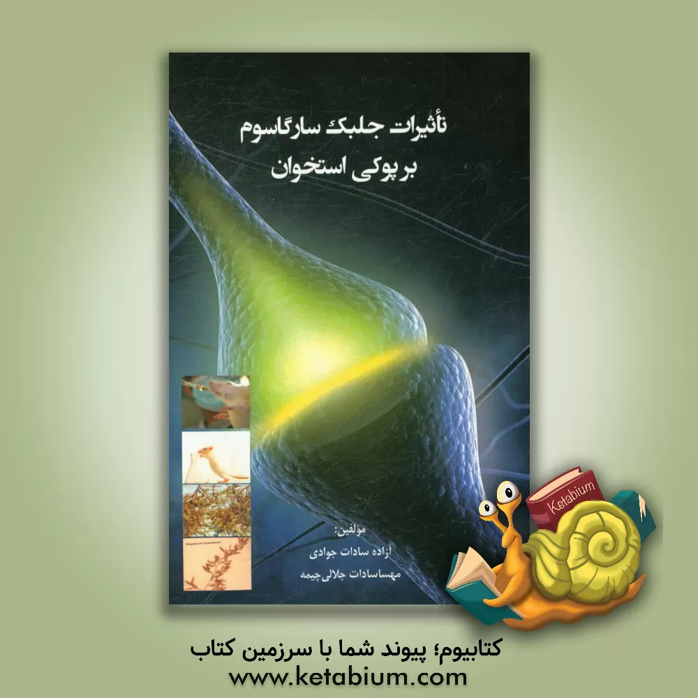 کتاب تاثیرات جلبک سارگاسوم بر پوکی استخوان اثر آزاده‌سادات جوادی