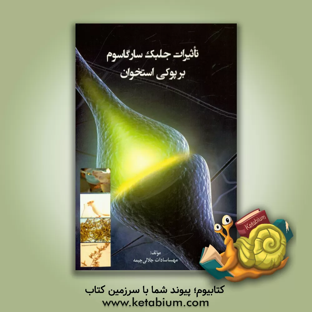 کتاب تاثیرات جلبک سارگاسوم بر پوکی استخوان اثر مهساسادات جلالی‌چیمه