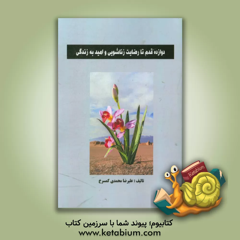 کتاب دوازده قدم تا رضایت زناشویی و امید به زندگی اثر علیرضا محمدی‌کمسرخ