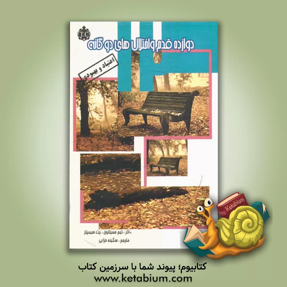 کتاب دوازده قدم و اختلال های دوگانه: الگویی برای بهبودی کسانی که اعتیاد و بیماری های روانی را تجربه کرده اند اثر تیم همیلتون