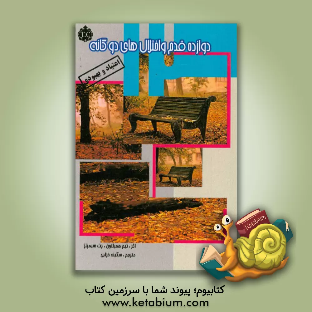 کتاب دوازده قدم و اختلال های دوگانه: الگویی برای بهبودی کسانی که اعتیاد و بیماری های روانی را تجربه کرده اند اثر تیم همیلتون