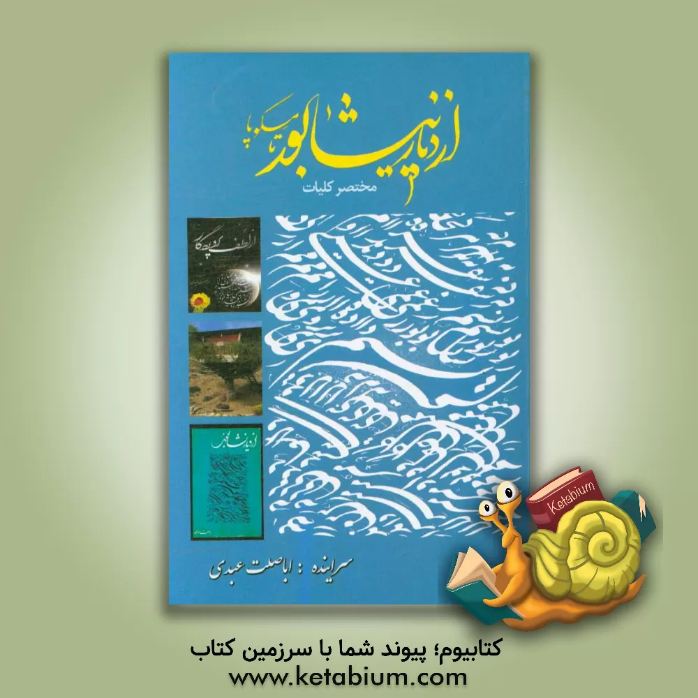 کتاب از نیشابور تا مسکوپا |اثر سیدحسن رضوی