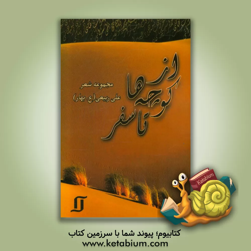 کتاب از کوچه ها تا سفر اثر علی ربیعی