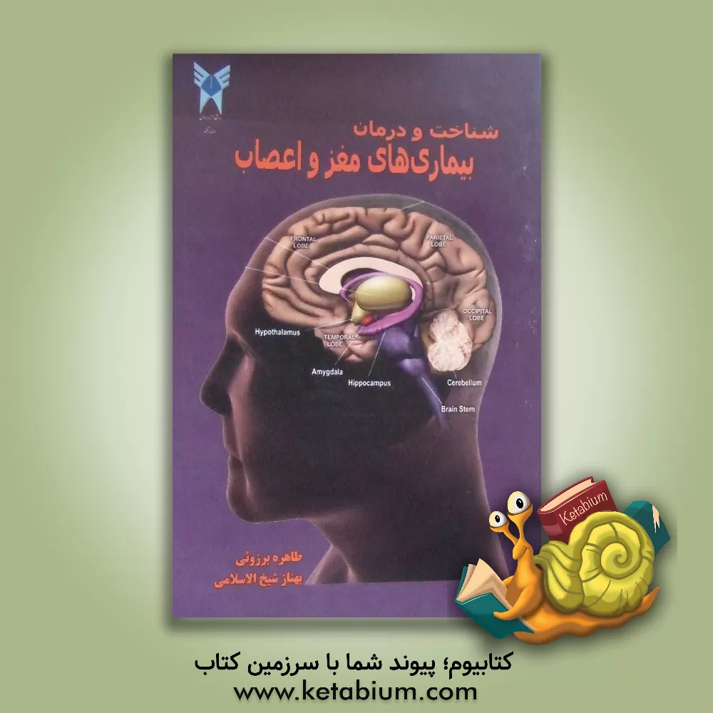 کتاب شناخت و درمان بیماری های مغز و اعصاب (مورد استفاده برای کلیه دانشجویان پزشکی و پیراپزشکی) اثر بهناز شیخ‌الاسلامی