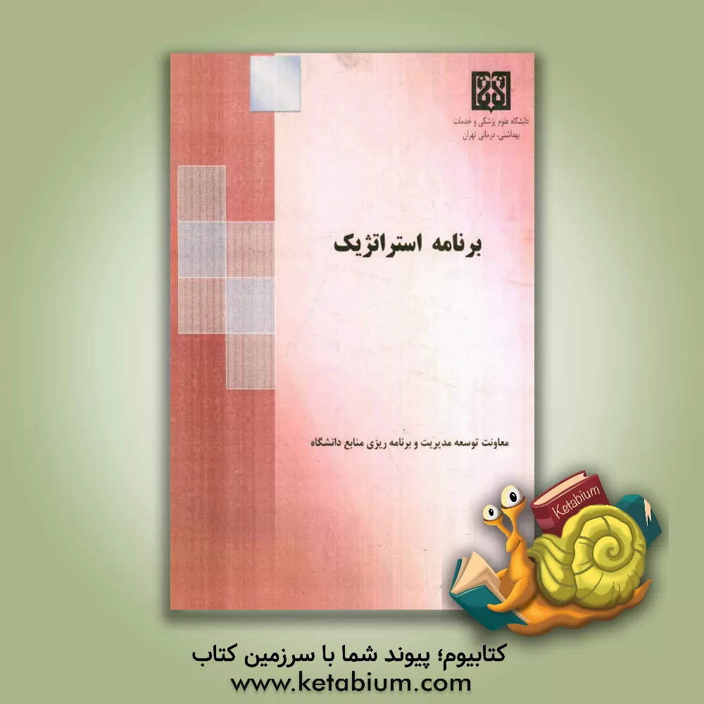 کتاب برنامه استراتژیک معاونت توسعه مدیریت و برنامه ریزی منابع اثر محمود بیگلر