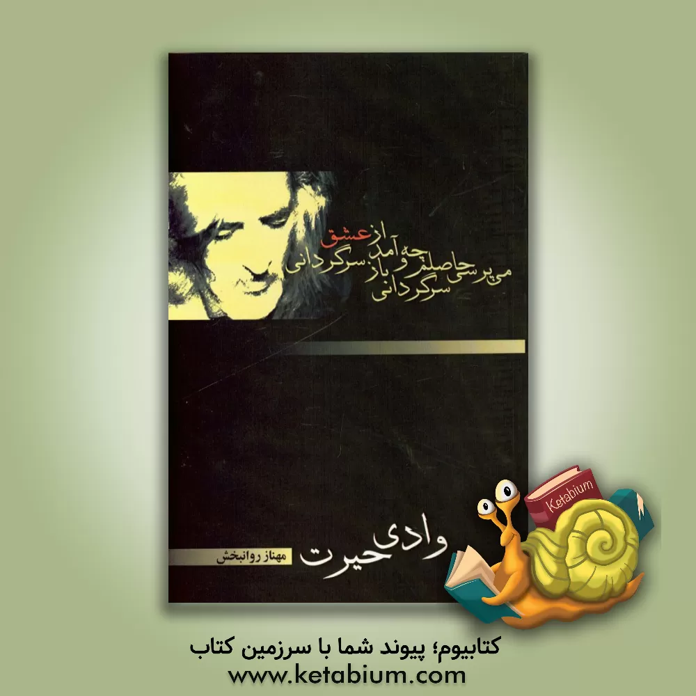 کتاب وادی حیرت: (اندیشه های عاشقانه حسین منزوی) اثر مهناز روانبخش