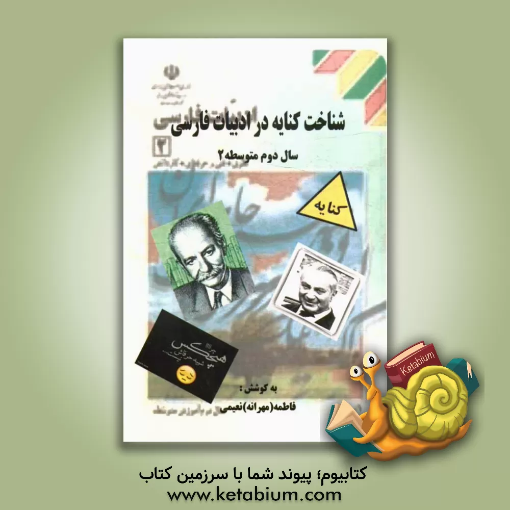 کتاب شناخت کنایه در ادبیات فارسی سال دوم متوسطه 2 اثر فاطمه نعیمی