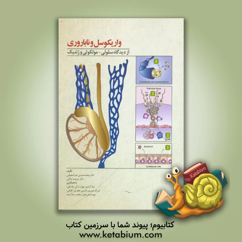 کتاب واریکوسل و ناباروری از دیدگاه سلولی - مولکولی و ژنتیک اثر محمدحسین نصراصفهانی