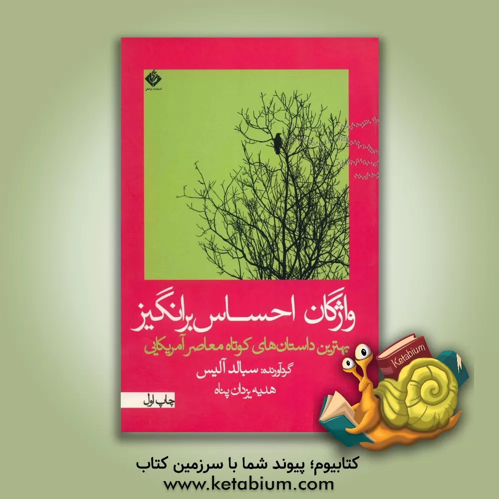 کتاب واژگان احساس برانگیز: بهترین داستانهای کوتاه معاصر آمریکایی اثر هدیه یزدان‌پناه