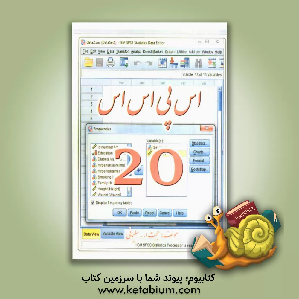 کتاب اس پی اس اس: 20 اثر جواد سلیمانی