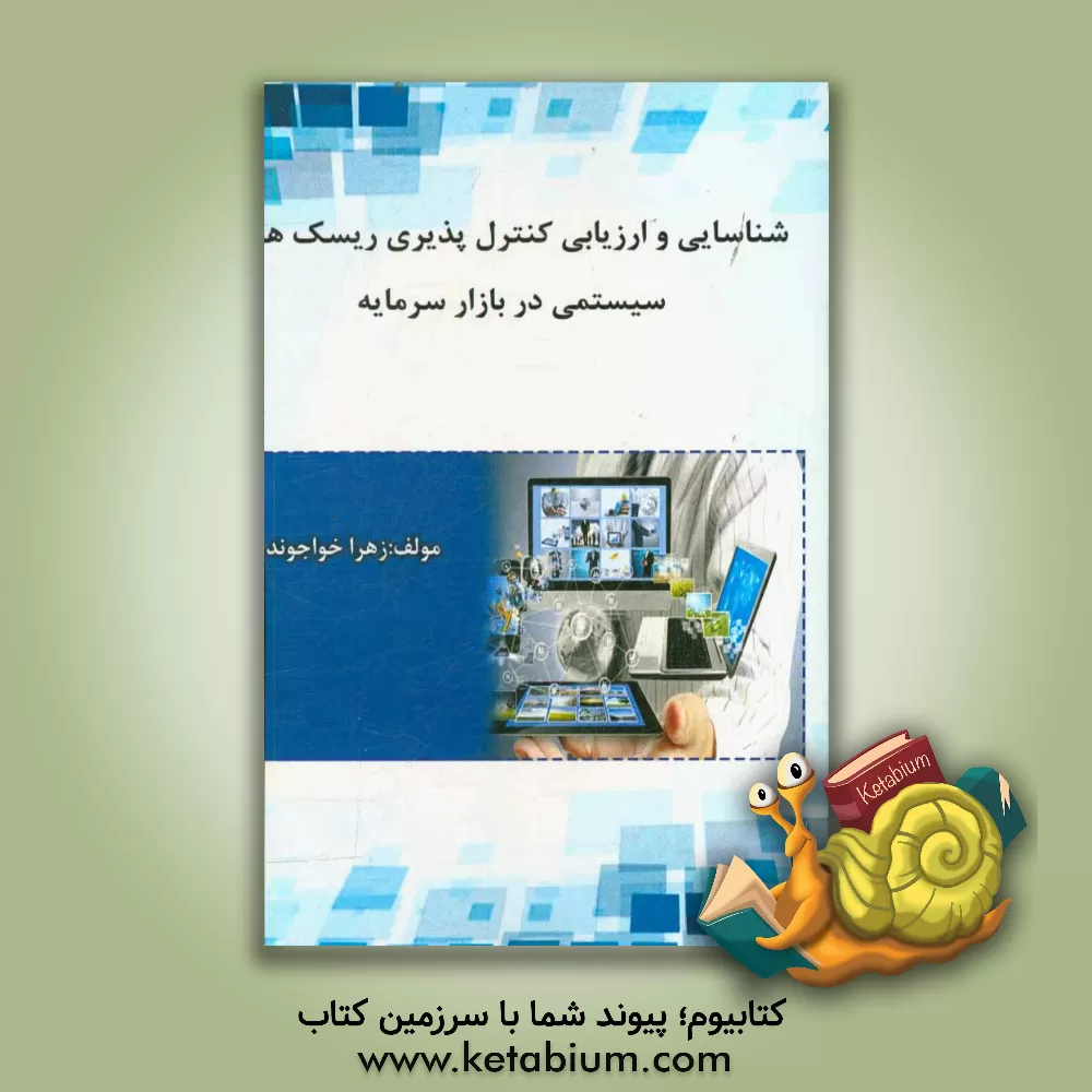 کتاب شناسایی و ارزیابی کنترل پذیری ریسکهای سیستمی در بازار سرمایه اثر زهرا خواجوند