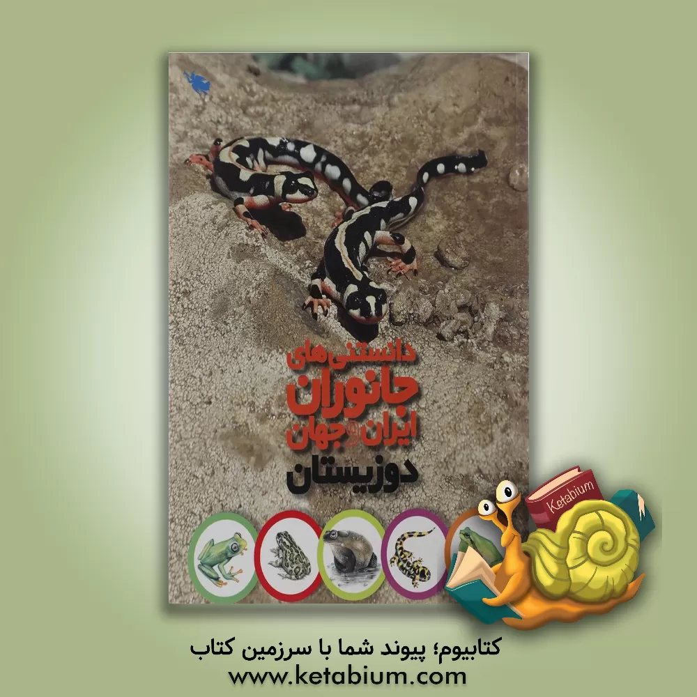 کتاب دوزیستان اثر محمد کرام‌الدینی