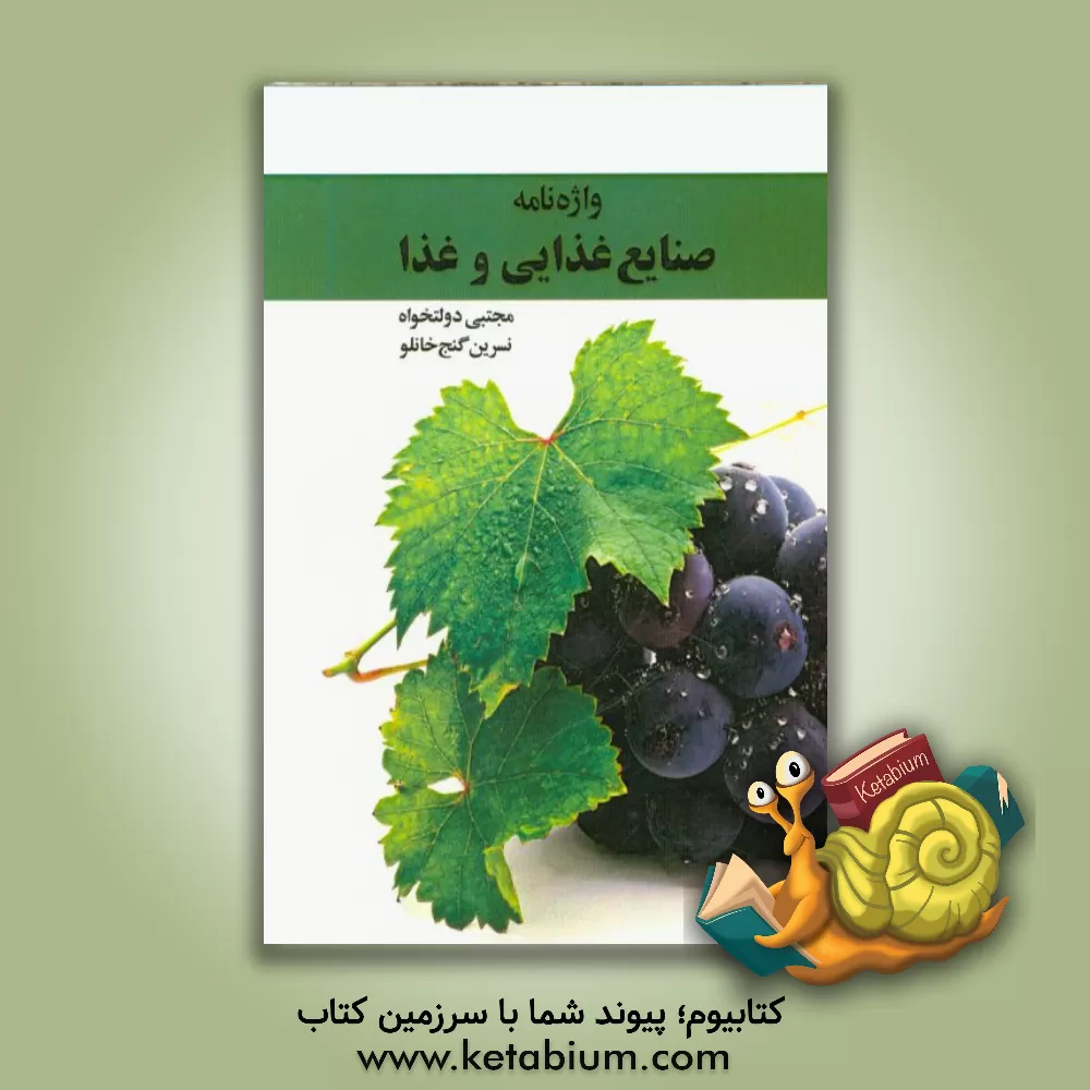 کتاب واژه نامه صنایع غذایی و غذا اثر مجتبی دولتخواه