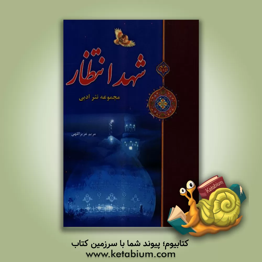 کتاب شهد انتظار اثر مریم عزیزاللهی