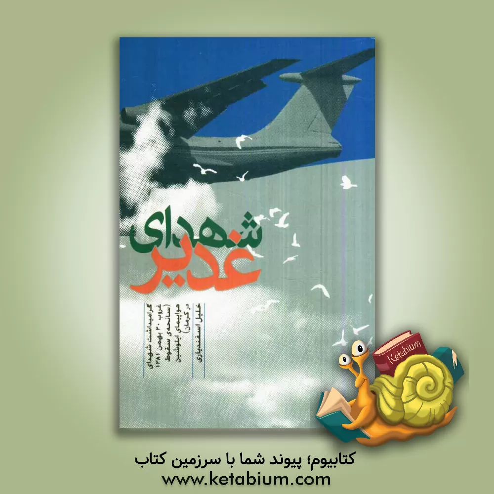 کتاب شهدای غدیر: گرامیداشت شهدای غروب 30 بهمن 1381 (سانحه ی سقوط هواپیمای ایلوشین در کرمان) اثر محمدقاسم فروغی‌جهرمی