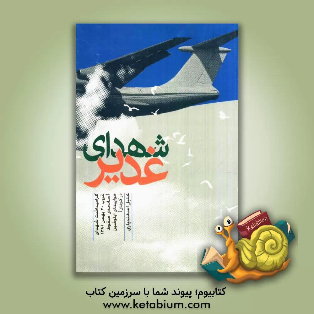 کتاب شهدای غدیر: گرامیداشت شهدای غروب 30 بهمن 1381 (سانحه ی سقوط هواپیمای ایلوشین در کرمان) اثر محمدقاسم فروغی‌جهرمی