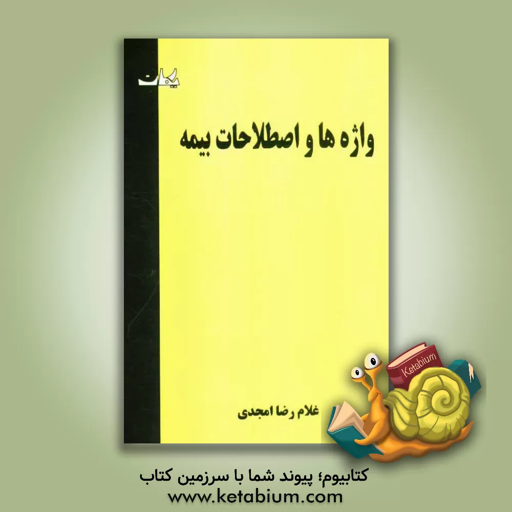 کتاب واژه ها و اصطلاحات بیمه اثر غلامرضا امجدی