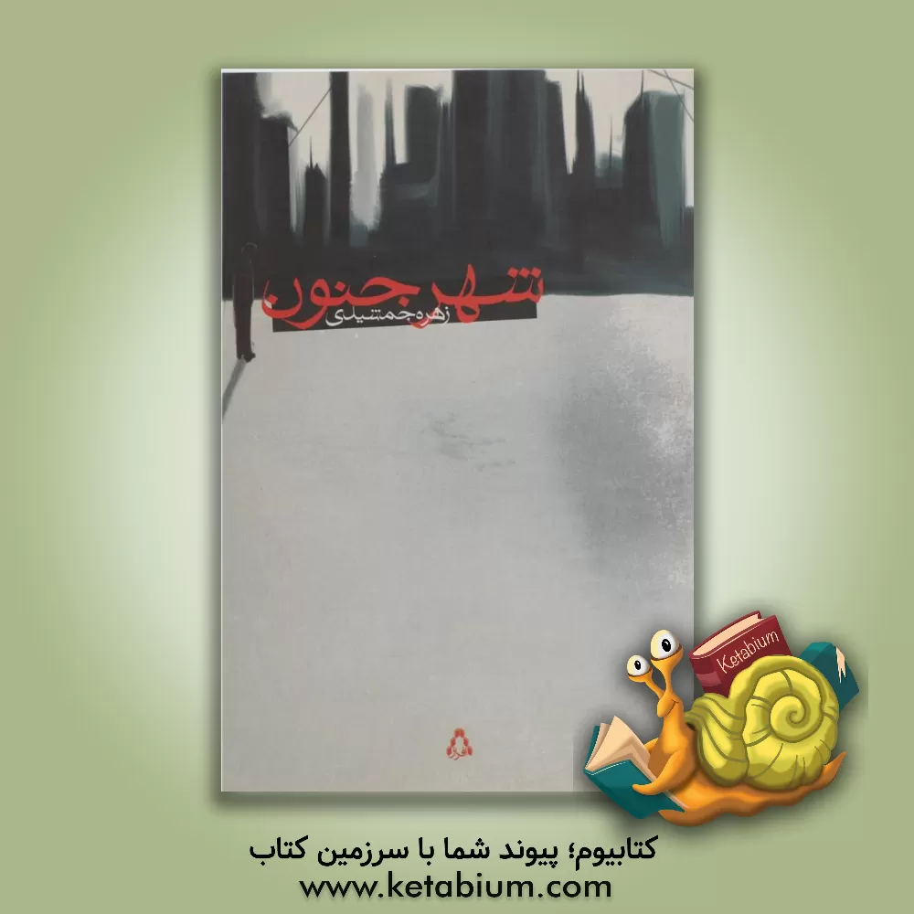 کتاب شهر جنون اثر زهره جمشیدی