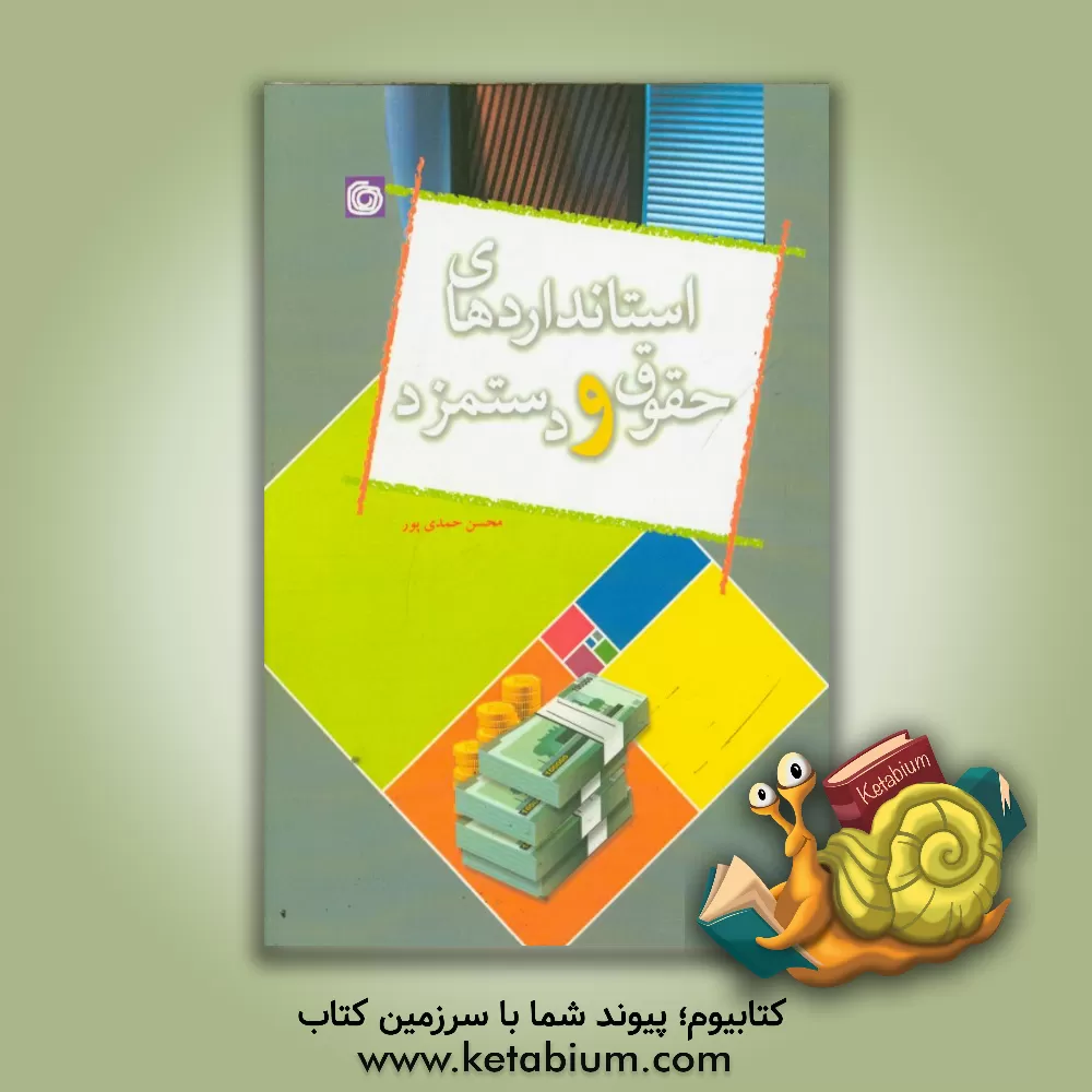 کتاب استانداردهای حقوق و دستمزد اثر محسن حمدی‌پور